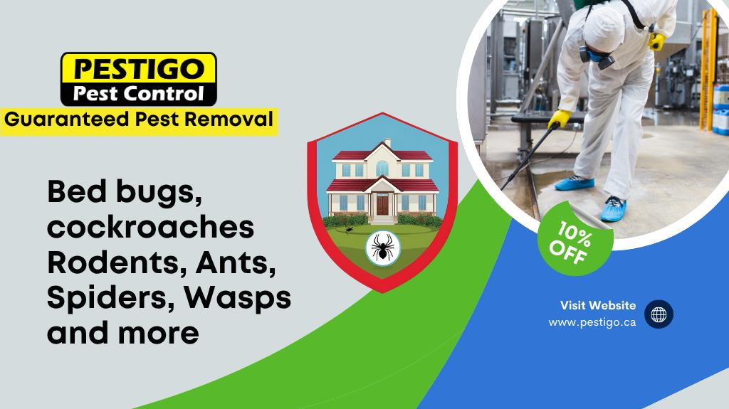 Cover photo of Pestigo Pest Control Toronto